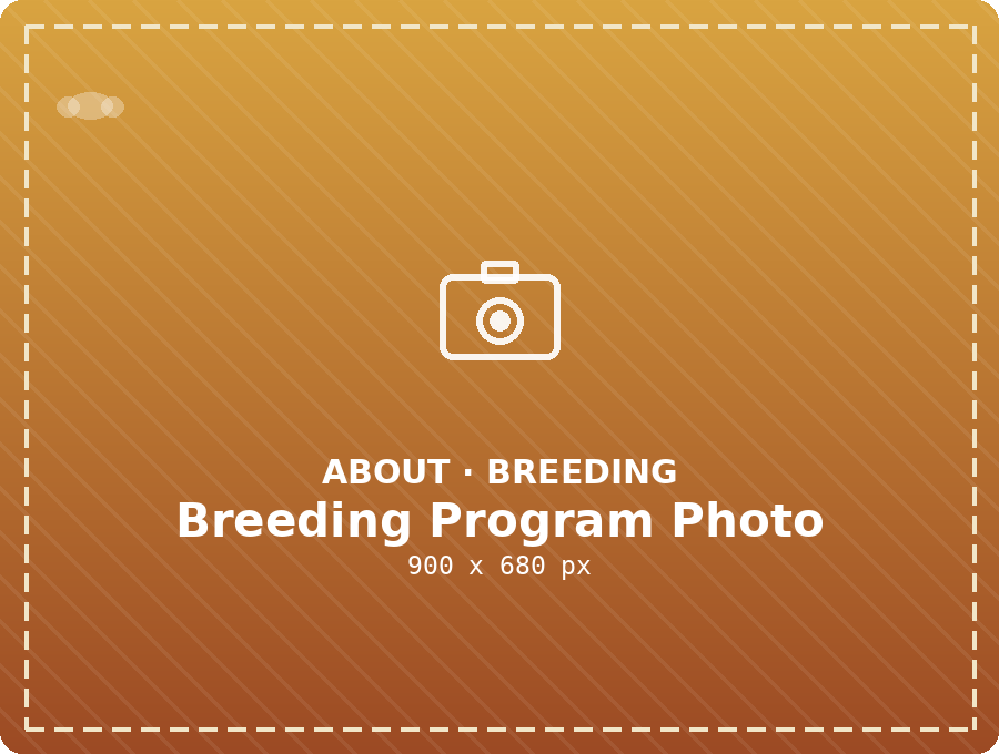 Rafiki Farm breeding program in action