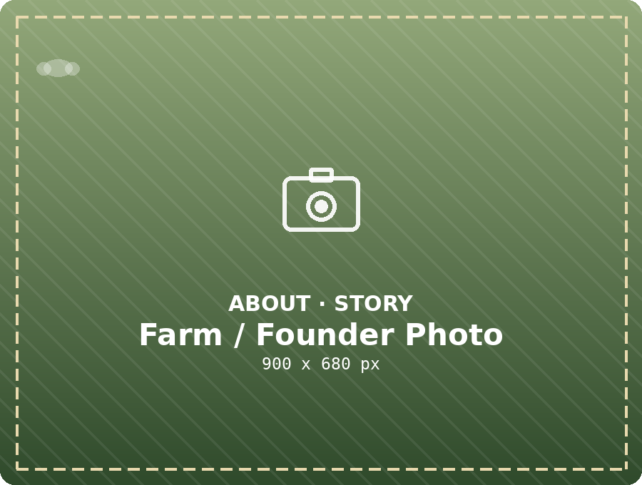 Rafiki Farm founder and herd