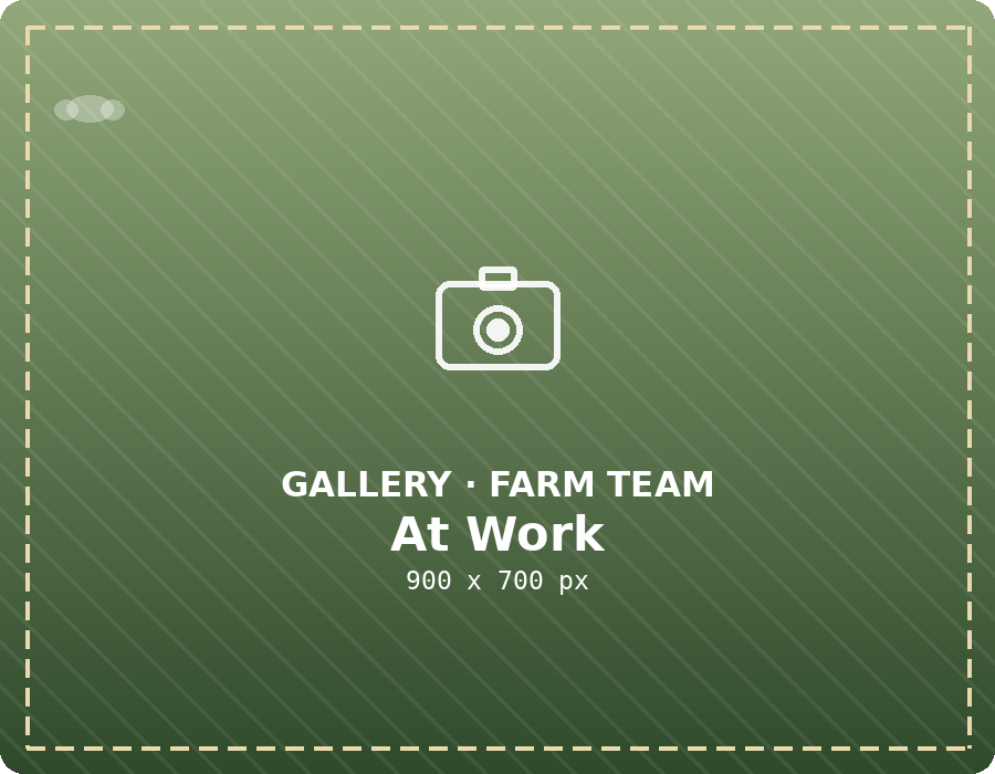 Farm team at work