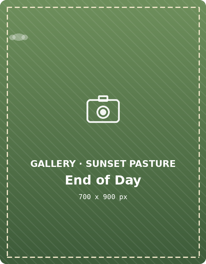 Sunset over the pasture