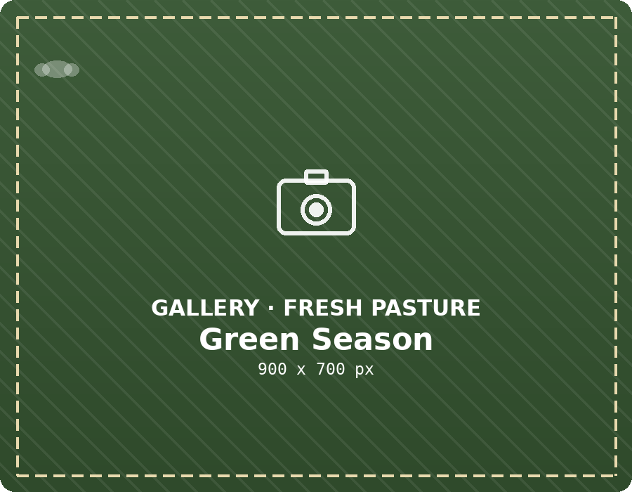 Fresh green pasture in season