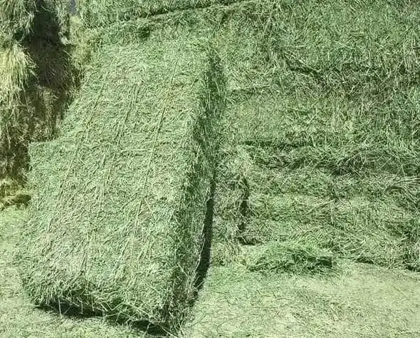 Fresh Farm Hay and Animal Feeds