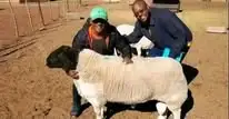 Happy customer at Rafiki Farm